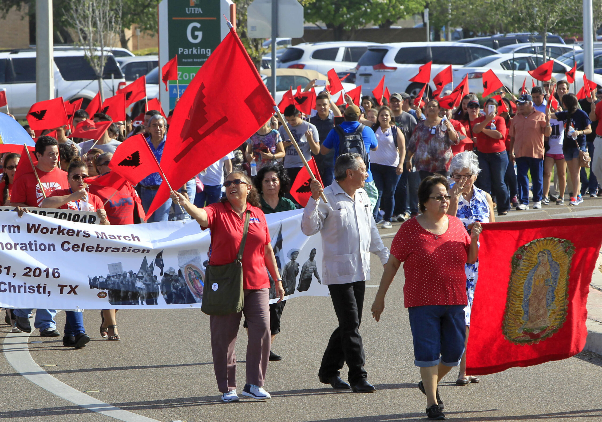 Judge: Labor board protecting strikers’ racist, sexist behavior