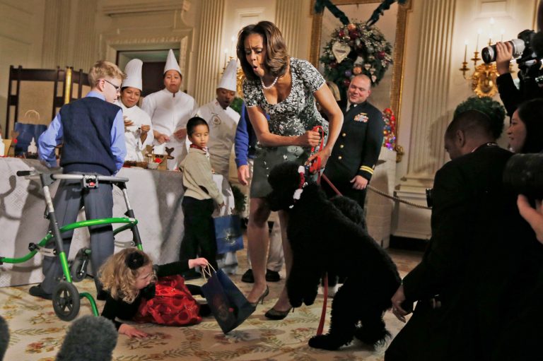 First lady Michelle Obama reacts as Ashtyn Gardner, 2, from Mobile, Ala., loses her balance when she was greeting Sunny, one of the presidential dogs, as children of military families participate in a holiday arts and crafts event in the State Dining Room at the White House in Washington, Wednesday, Dec. 4, 2013. (AP Photo/Charles Dharapak)