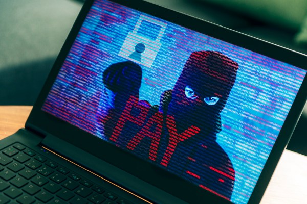 Congress may go after software vulnerabilities, DHS’s cyber role this summer