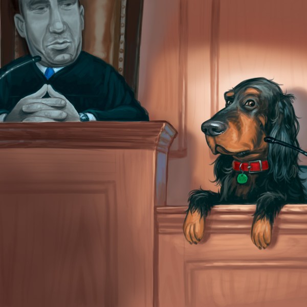 Crime and  (Doggie) Punishment