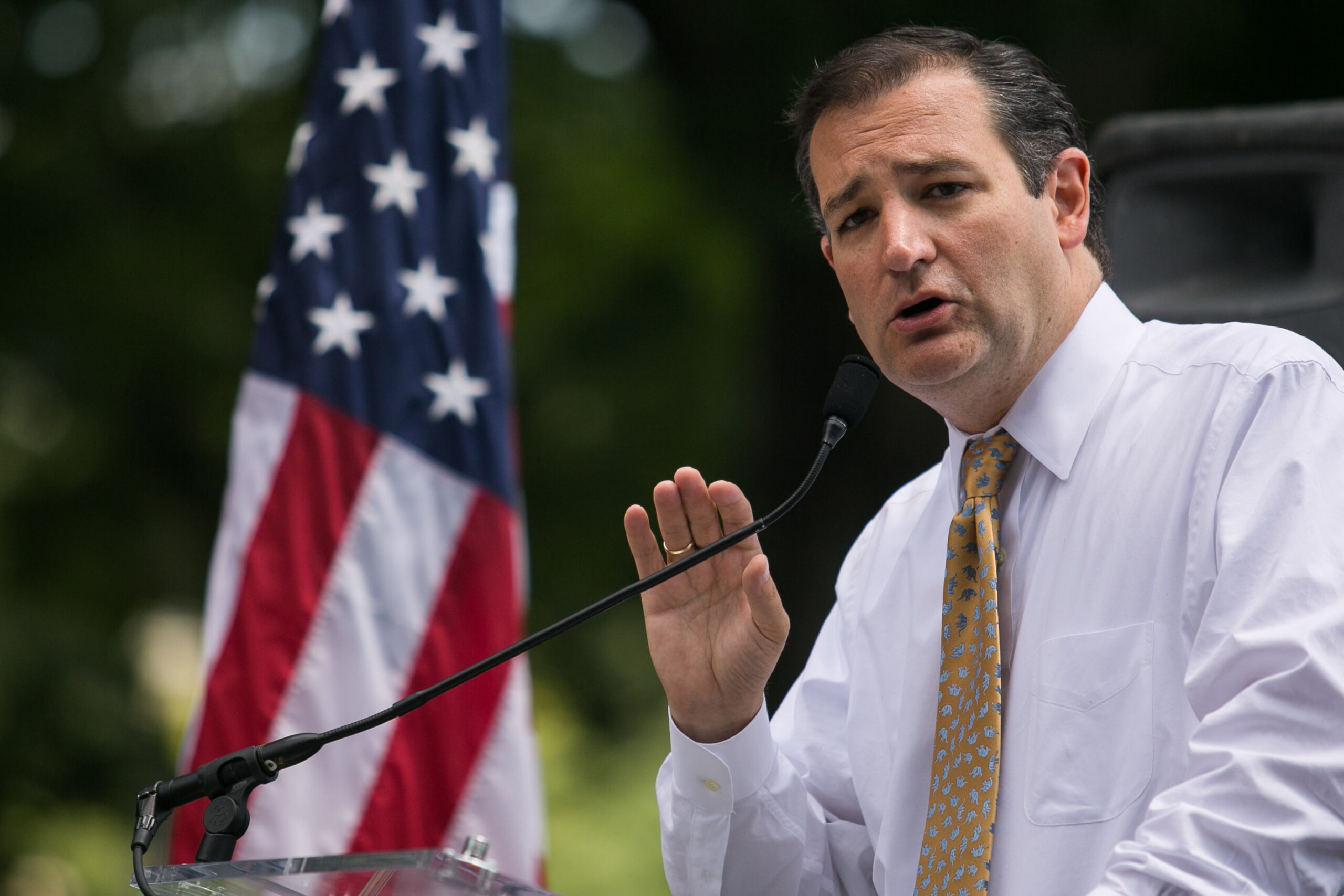 Team Obama protest turns into Ted Cruz rally