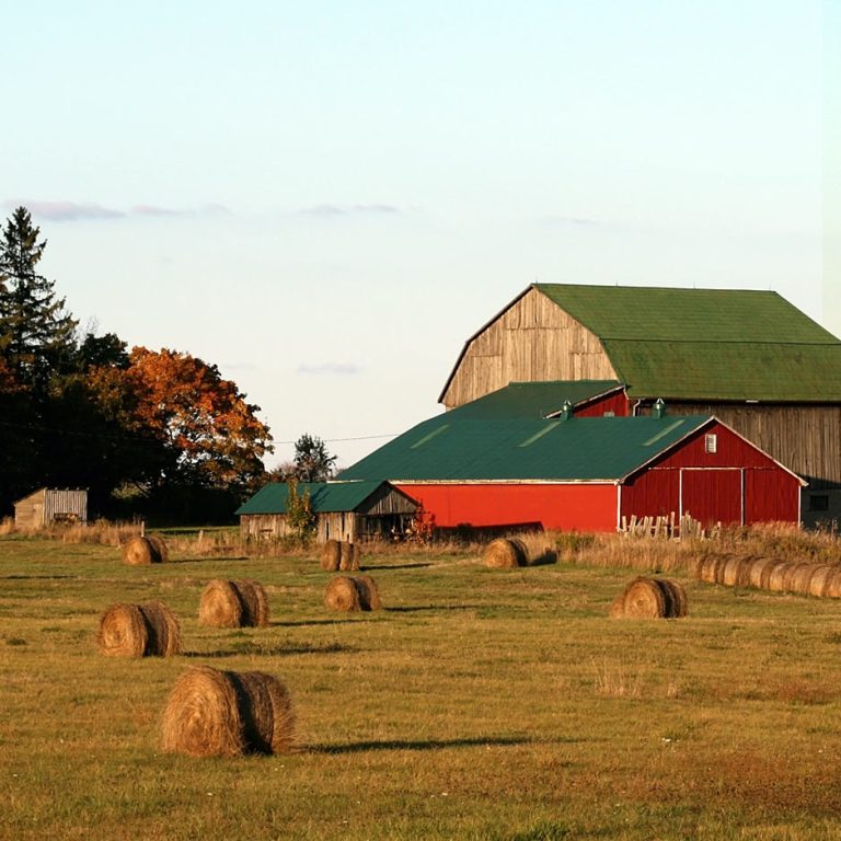 Farm Bill Fiasco