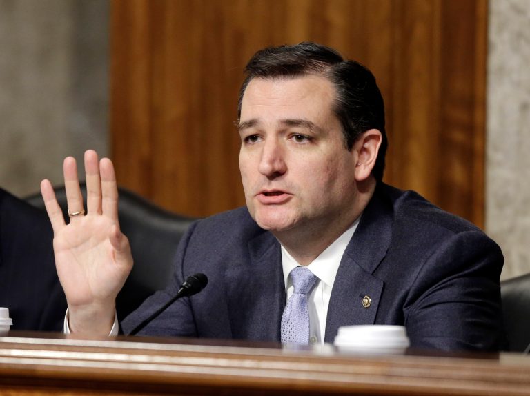 Sen. Ted Cruz, R-Texas, said news of the IRS targeting of conservative groups has sparked Americans to stand up for liberty.  (AP File)