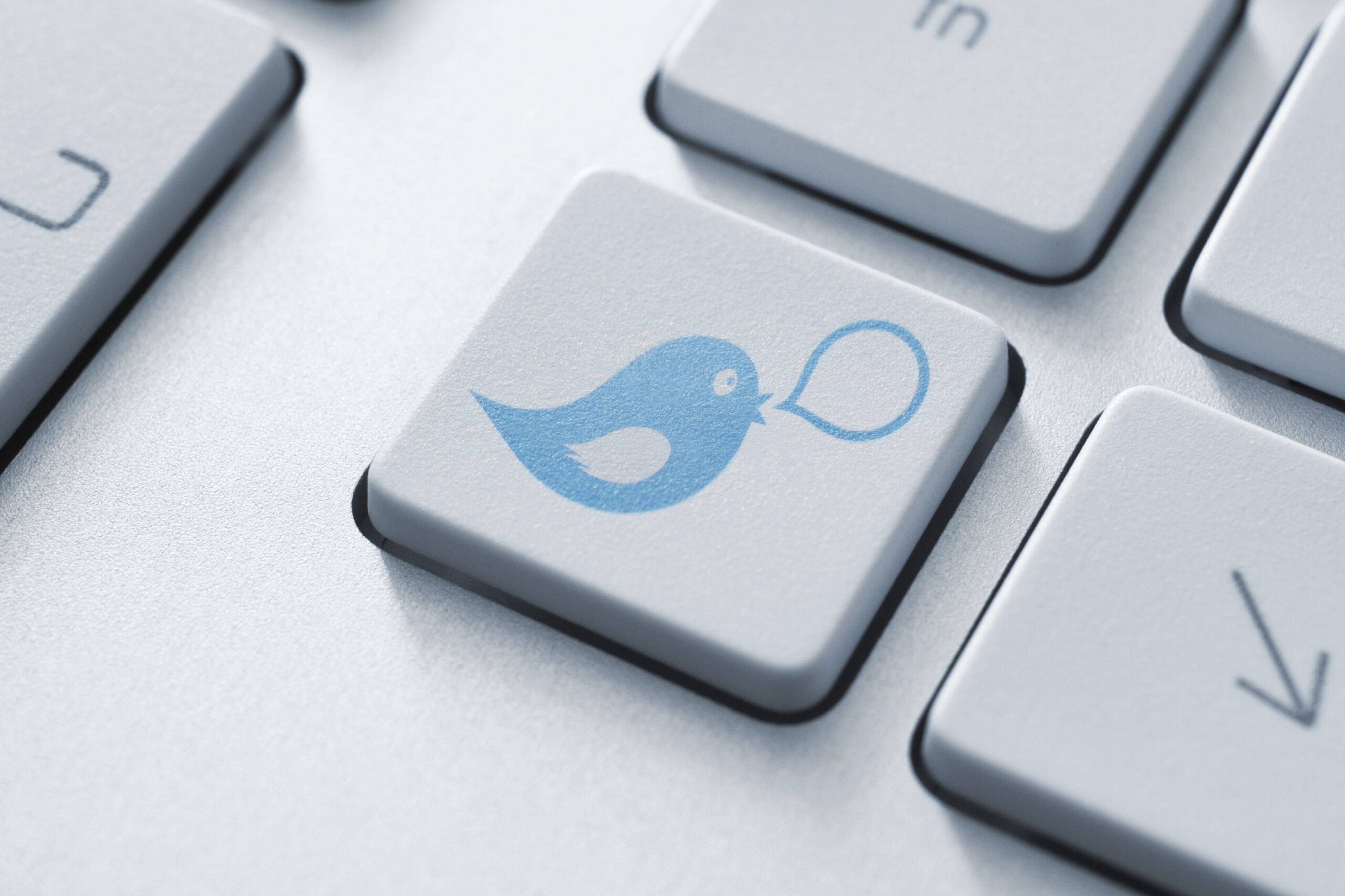 Intern for Maine Democrat suspended for vulgar tweets