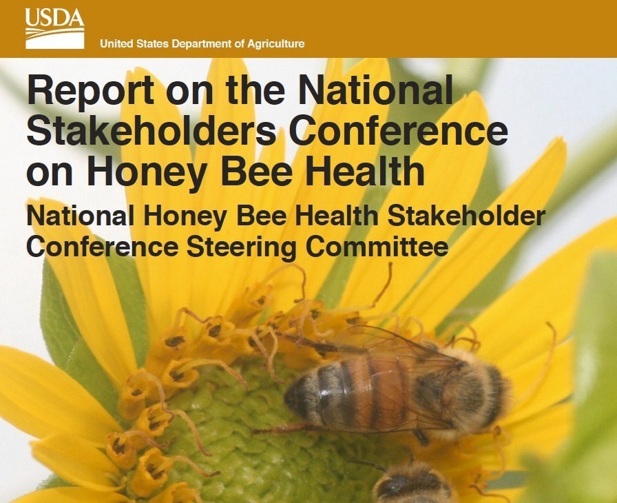 Food scare: Not enough bees to pollinate crops