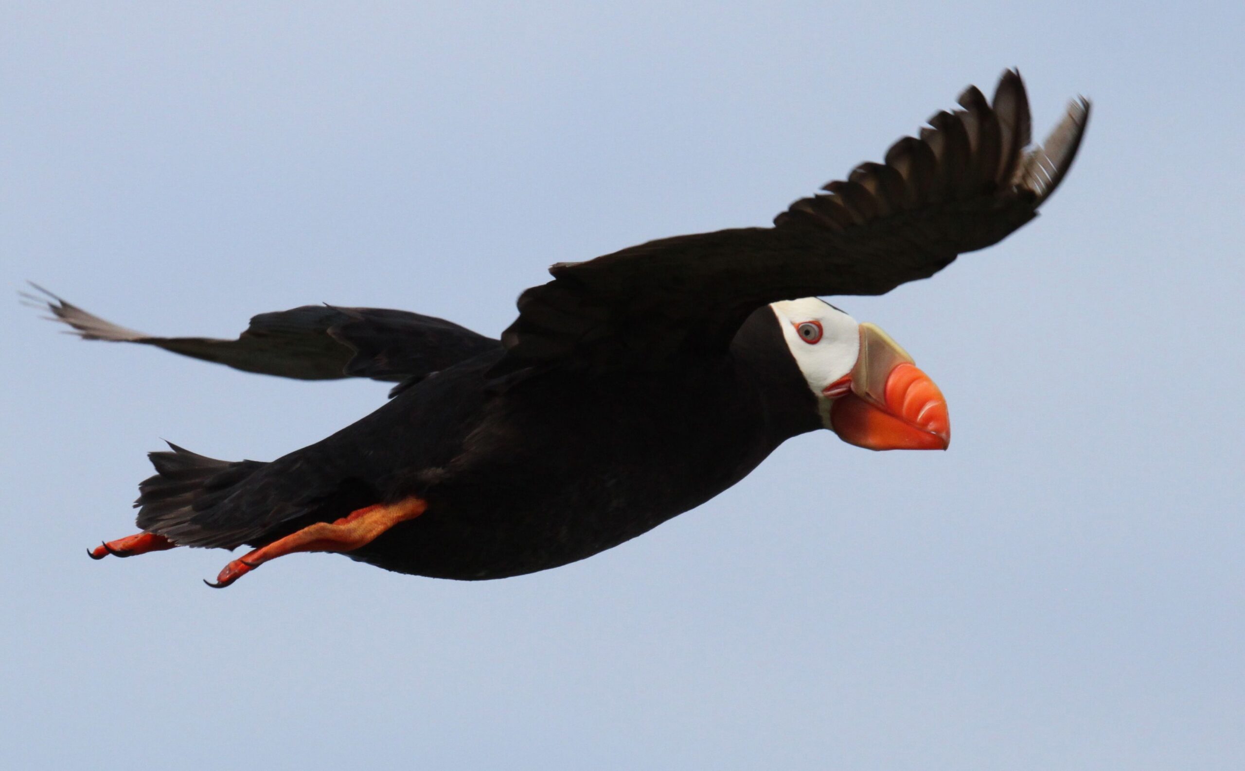 Report: Wildlife refuges create $2B for economy