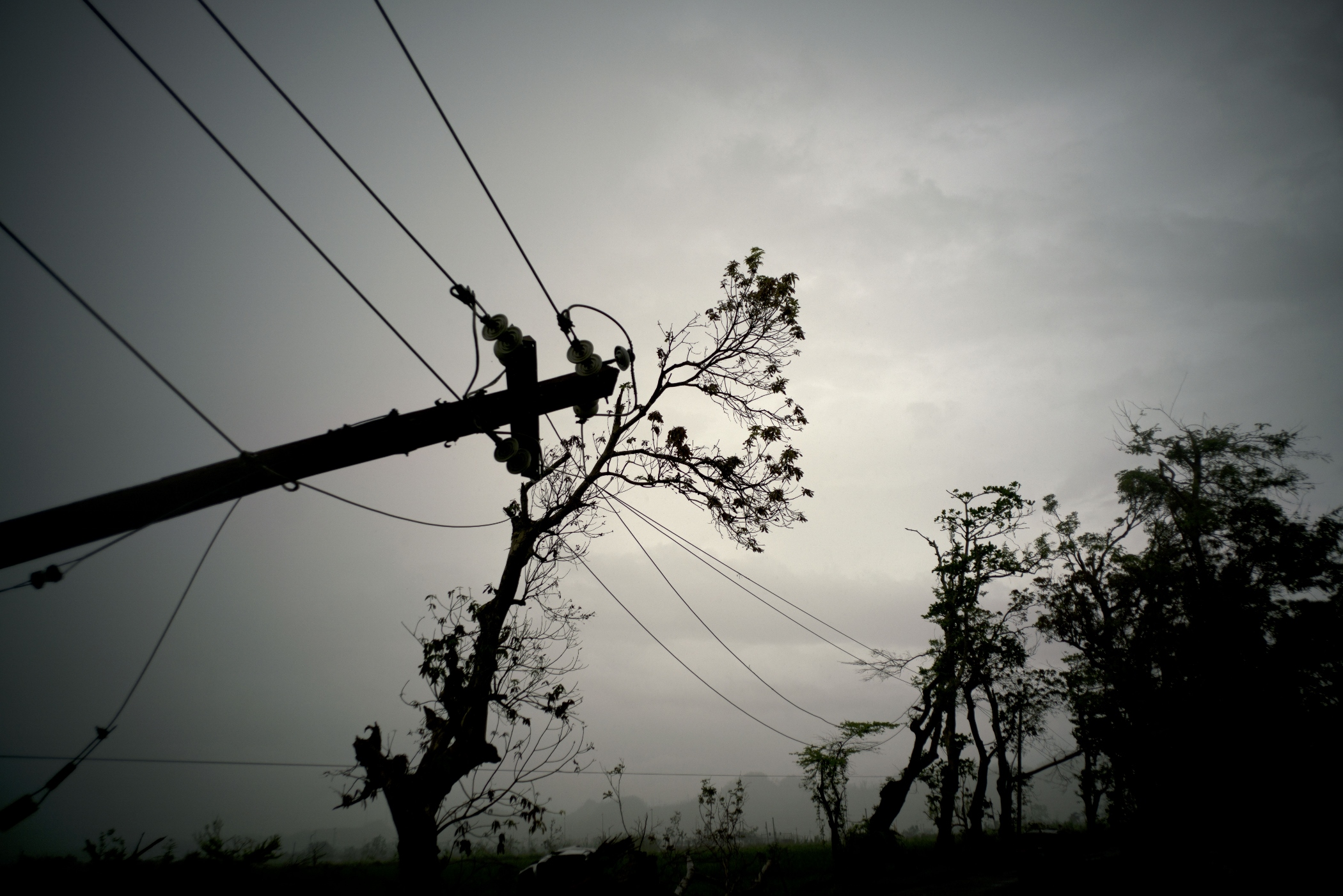 Nearly half of Puerto Rico residents still don’t have power: Report
