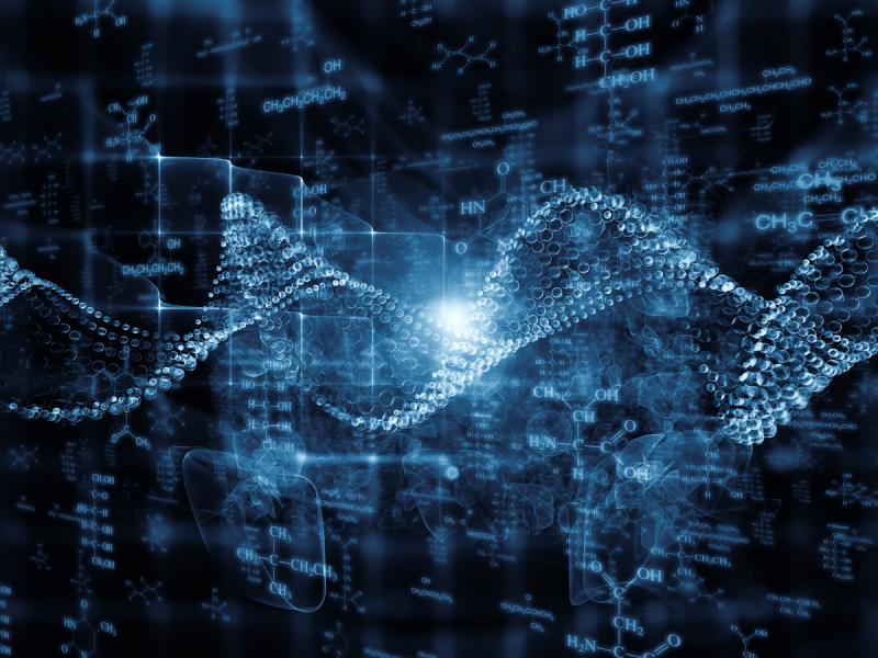 Hackers leak SSN, address of judge in Silk Road case