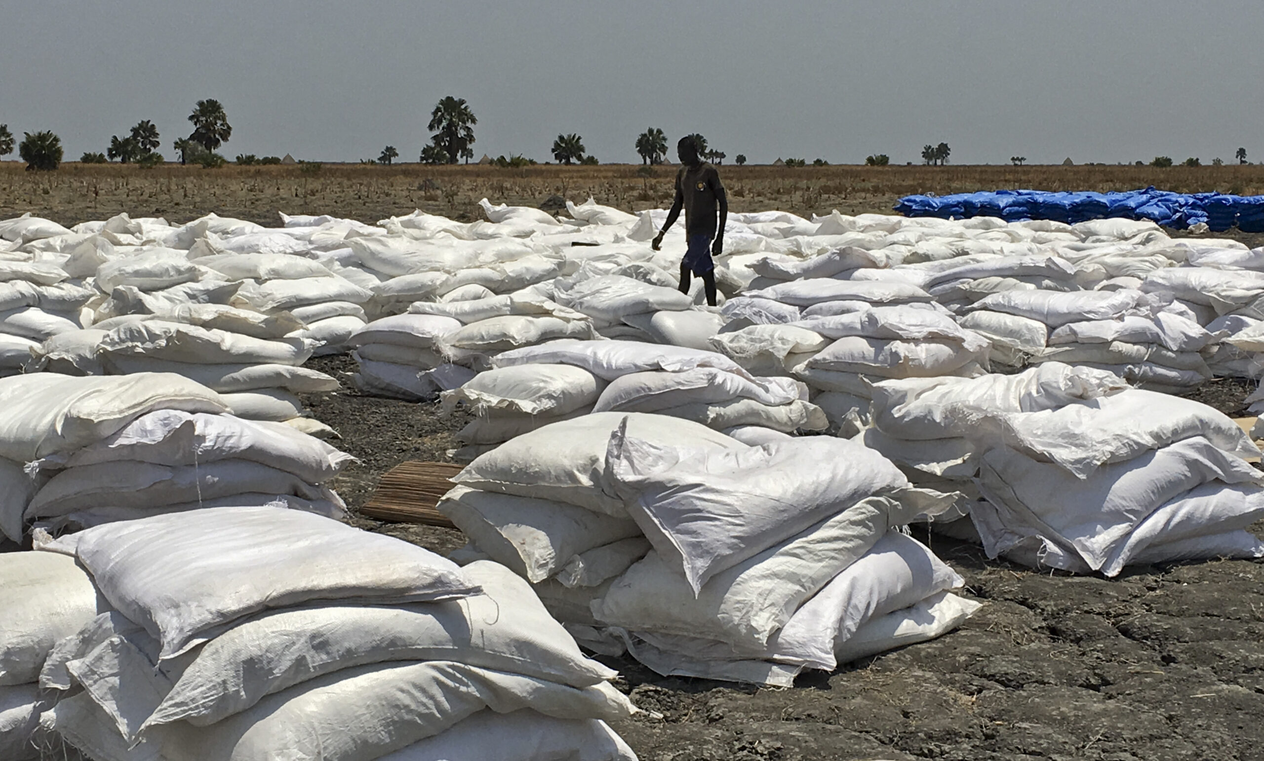 Famines are caused by awful governments — so stop giving those awful governments money