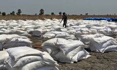 Famines are caused by awful governments — so stop giving those awful governments money