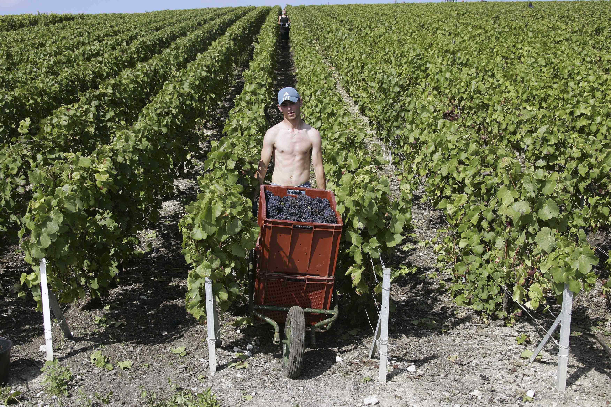 Champagne loses fizz in Europe after tough year
