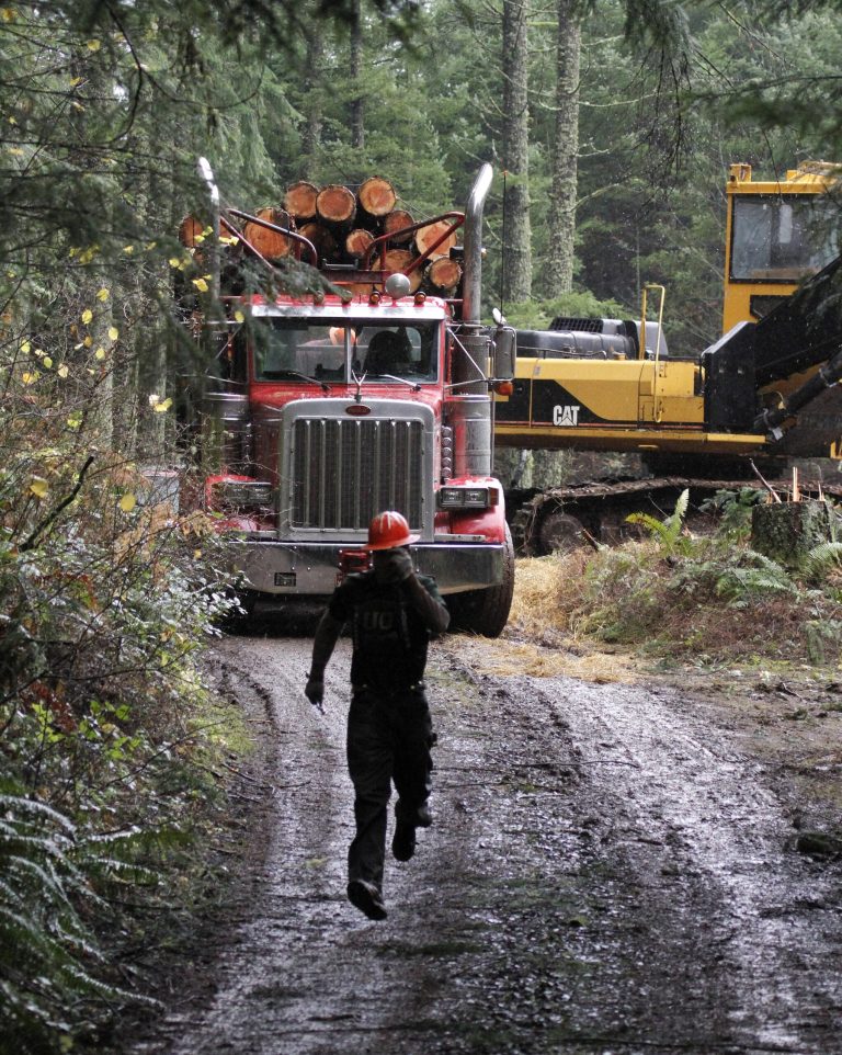   Logger Eric Davis runs down the road as a truck loaded with logs is readied in the forest near Banks, Ore., Friday, Nov. 30, 2012. The U.S. Supreme Court will hear a case Monday, Dec. 3, regarding regulation of water runoff from logging roads.(AP Photo/Don Ryan)  