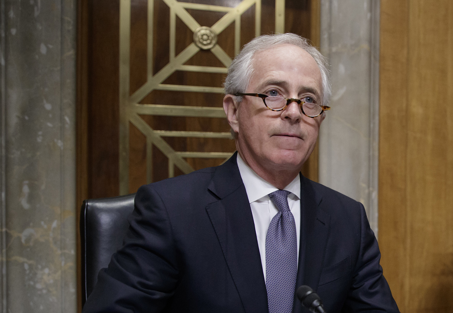 Senate Republican rips Paul Ryan for saying Trump shouldn’t work with Dems