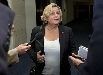 Lawmaker asks Ryan to create congressional advisor on Iran