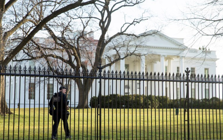 An attempted fence-jumper tried to gain entry into the Old Executive Office Building. (AP Photo/Andrew Harnik)