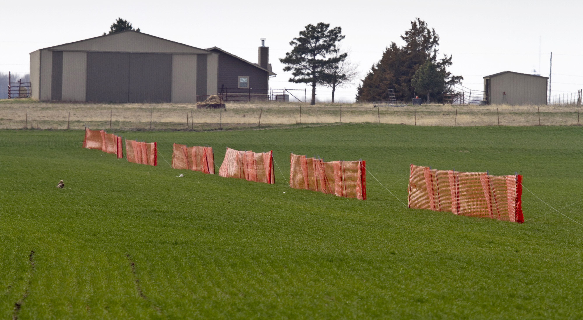 Lawmakers scramble to avert global food shortage