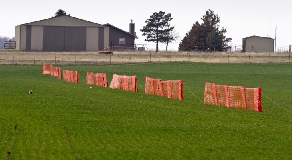 Political instability, weather spur wheat prices