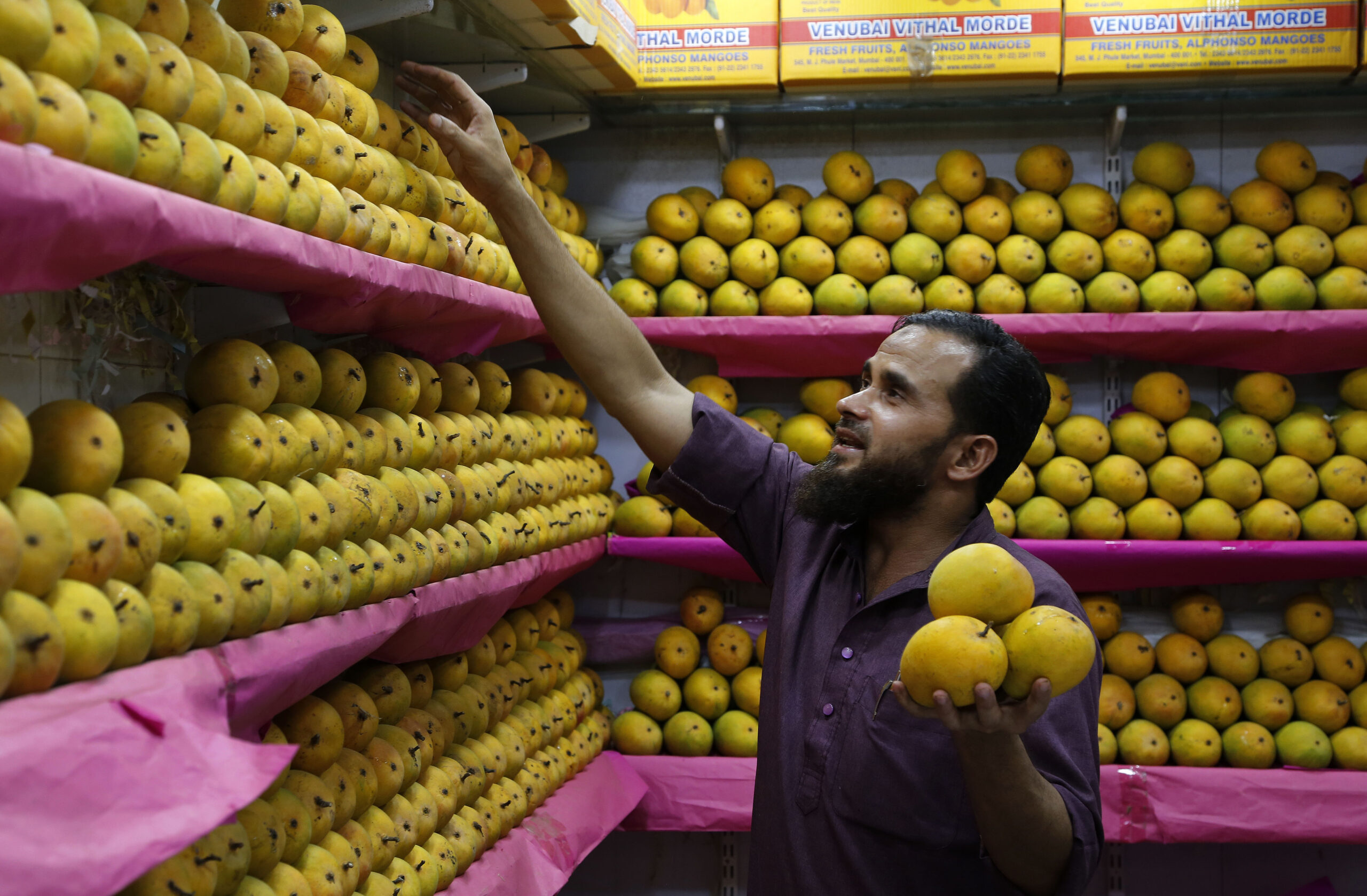Indians feast on top-quality mangoes after EU ban