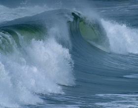 Whatever Floats Your Boat