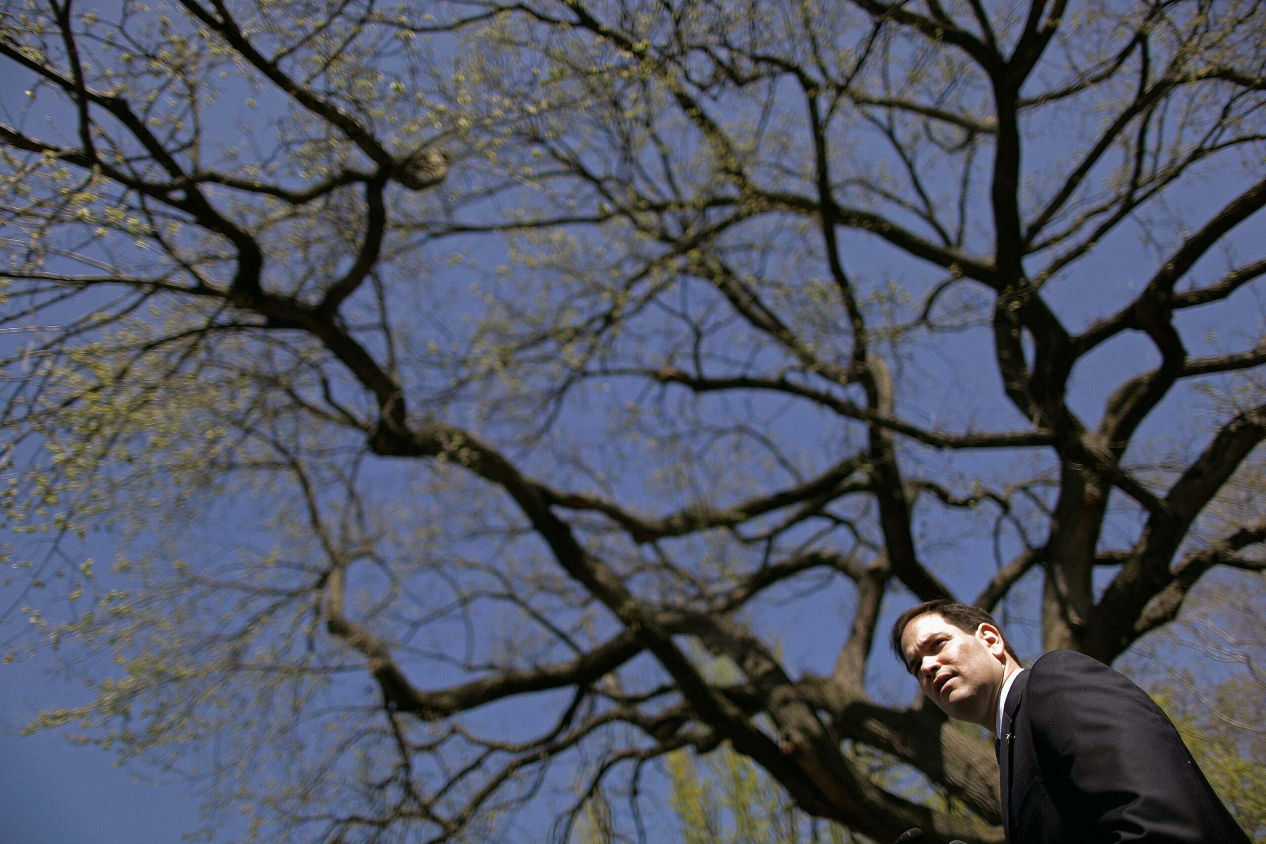 Europe bets on Romney-Rubio