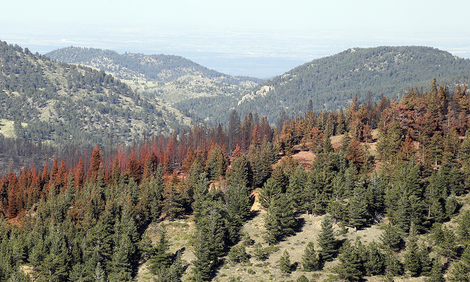 Enviromentalists’ latest land-grab scheme: The ’30 x 30′ initiative