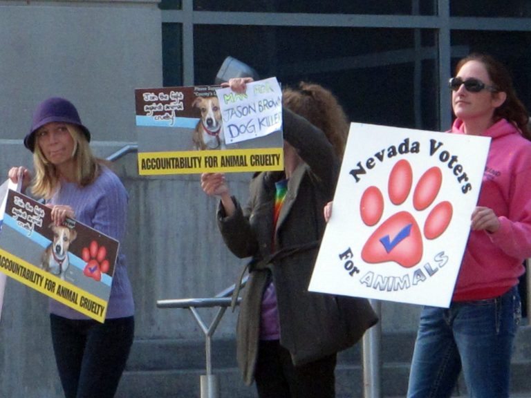 A half dozen animal rights activists protested Thursday, Oct. 16, 2014, outside Reno Justice Court where Jason Brown, 24, was to appear later in the day at a status hearing on charges accusing him of torturing and killing several dogs in July. Leaders of Nevada Voters for Animals are urging the maximum punishment if Brown is convicted of all seven counts, which could total more than 20 years in prison. (AP Photo/Scott Sonner).