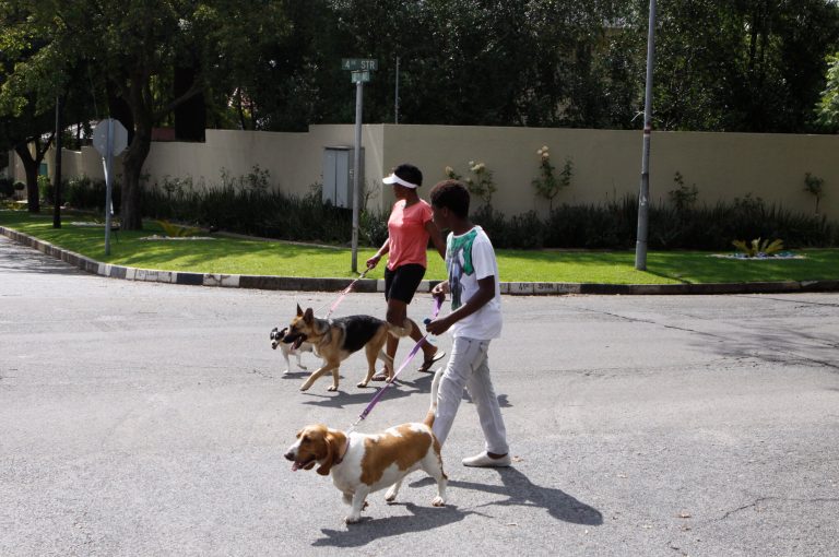   People walk their dogs outside the home of former president Nelson Mandela in Johannesburg, Thursday, Dec. 27 2012. President Jacob Zuma made critical remarks about pet care that touch on sensitive race relations in South Africa, which was dominated by whites until apartheid was dismantled almost two decades ago, The Star newspaper reported Thursday. The newspaper cited Zuma as saying in a speech Wednesday that the idea of having a pet is part of 