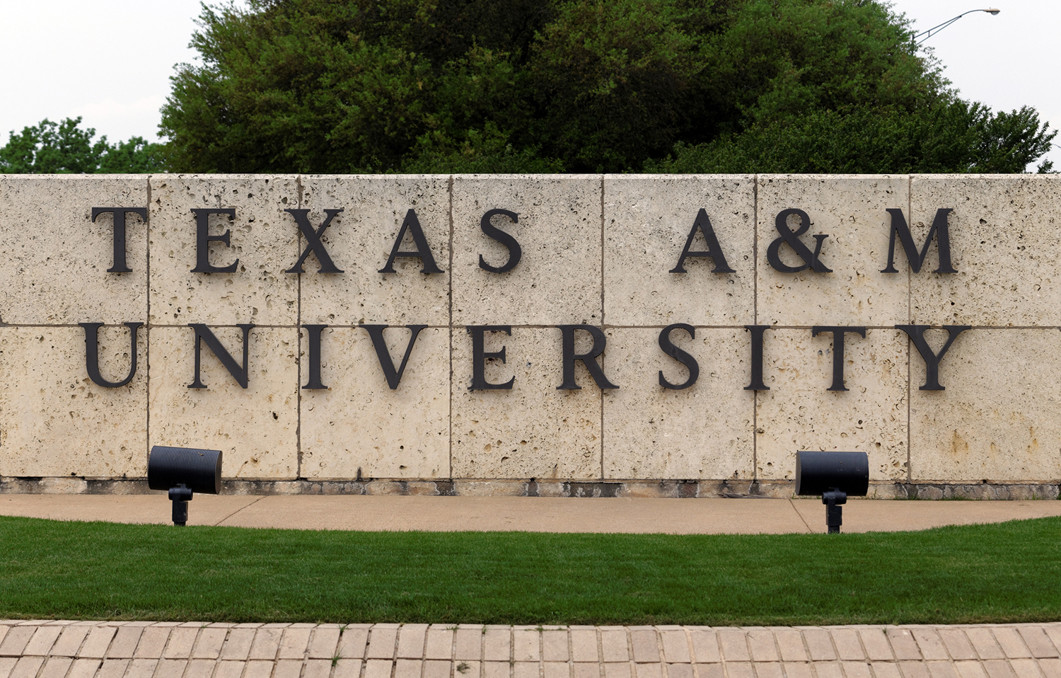 Texas A&M won’t fire professor who called for killing white people