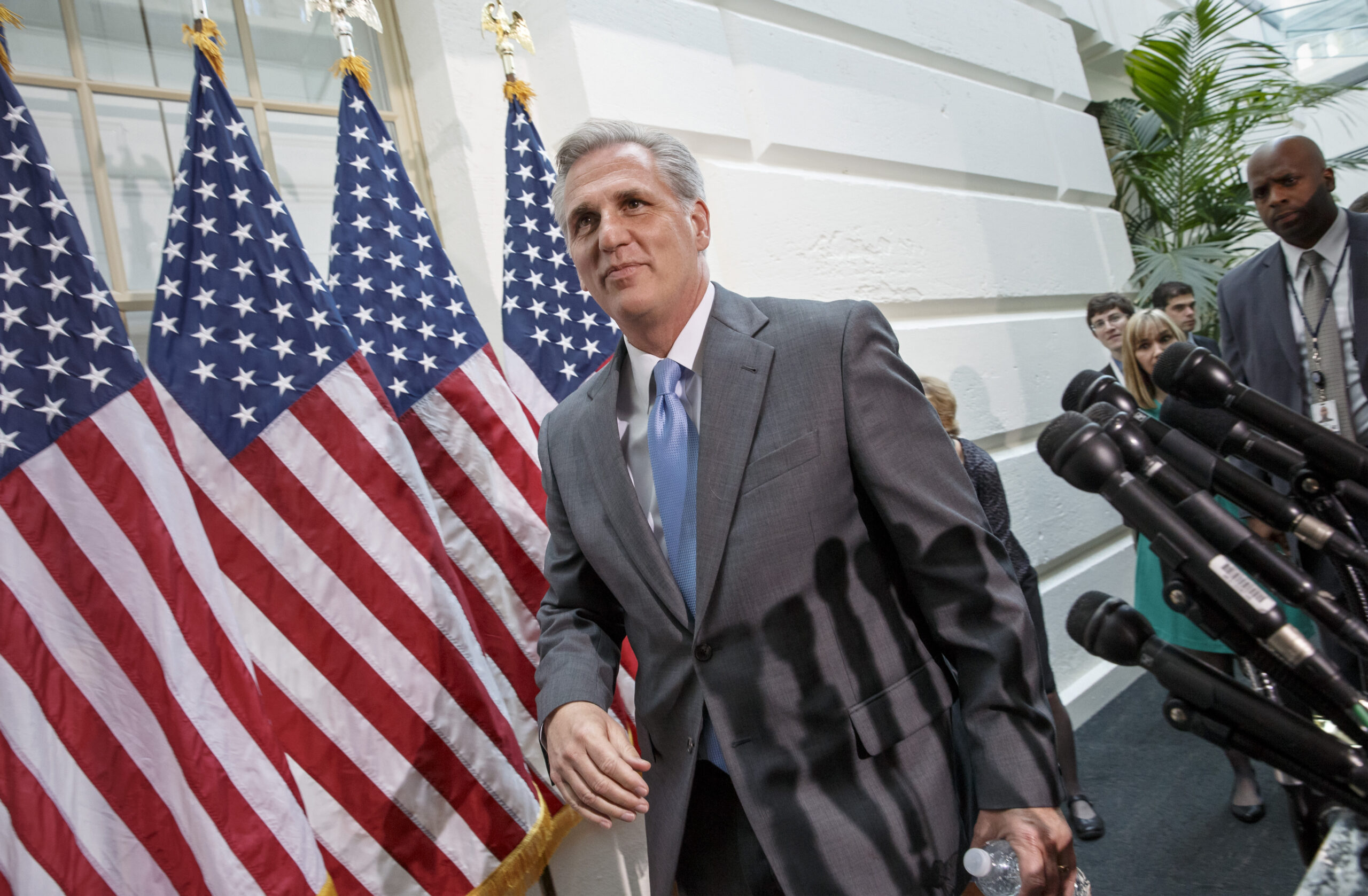 House GOP elects McCarthy, Scalise to leadership