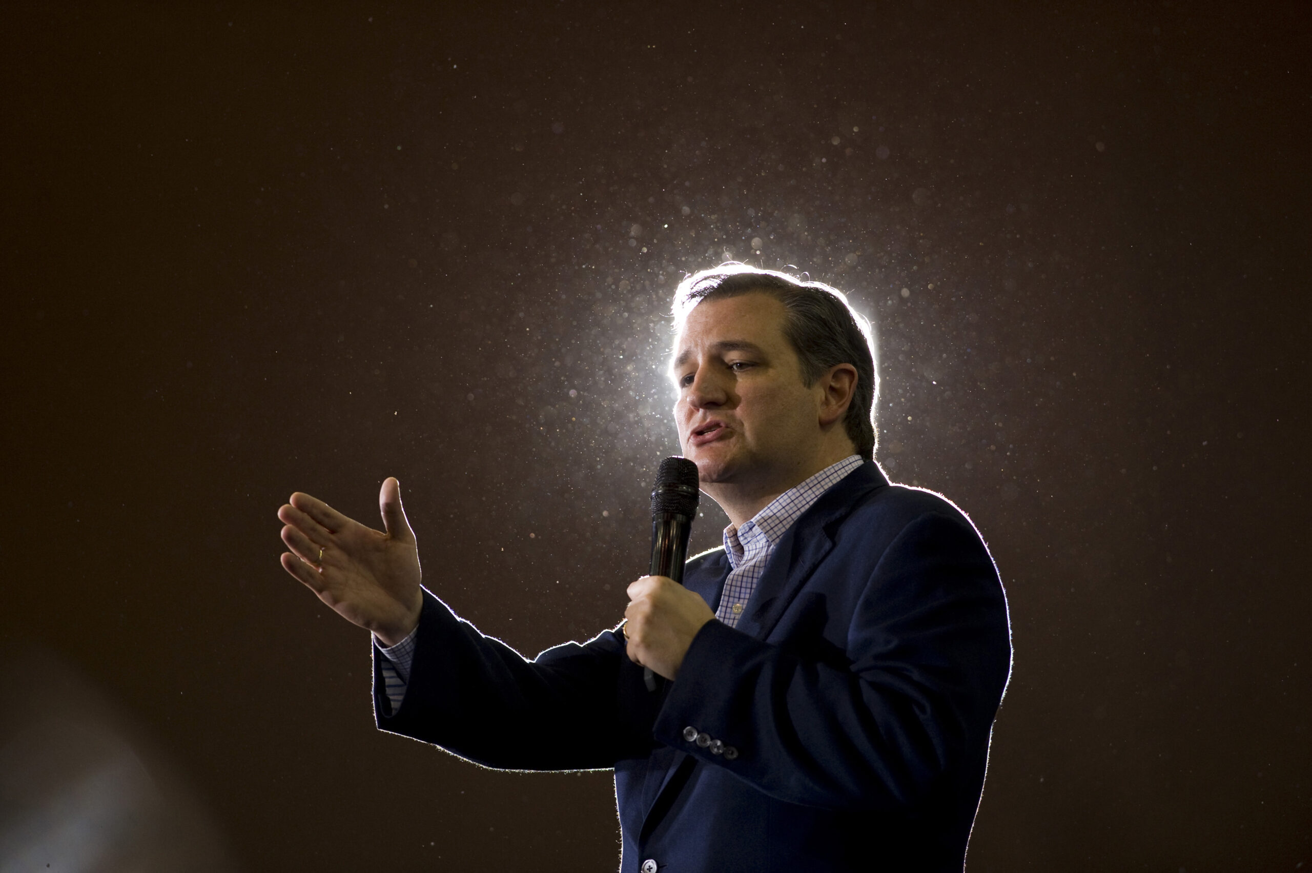 Ted Cruz renews call for flat tax