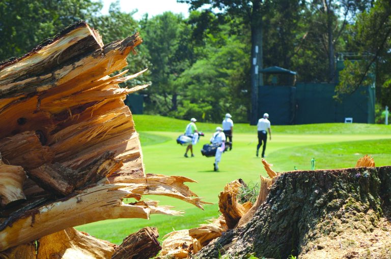 Kevin Dunleavy/The Washington Examiner
Trees and debris were littered all over Congressional Country Club's Blue Course, forcing play in the third round to be delayed until the early afternoon Saturday.