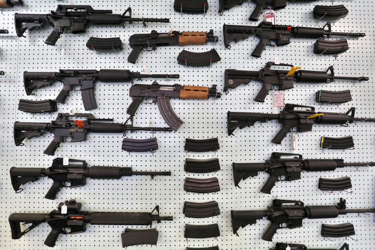 Gun control advocacy presents the most obvious example of the panic culture, but the problem goes far beyond any one issue. (AP)