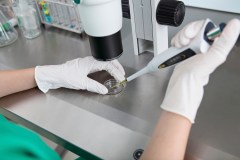 FDA leaves millions in user fees on the table