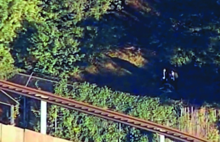 This Friday, Sept. 21, 2012 image from video provided by WABC shows authorities investigating the scene where a man was mauled by a tiger at the Bronx Zoo in New York. NYPD spokesman Paul Browne said Saturday that 25-year-old David Villalobos told investigators that he deliberately leaped into a zoo exhibit because he wanted to 