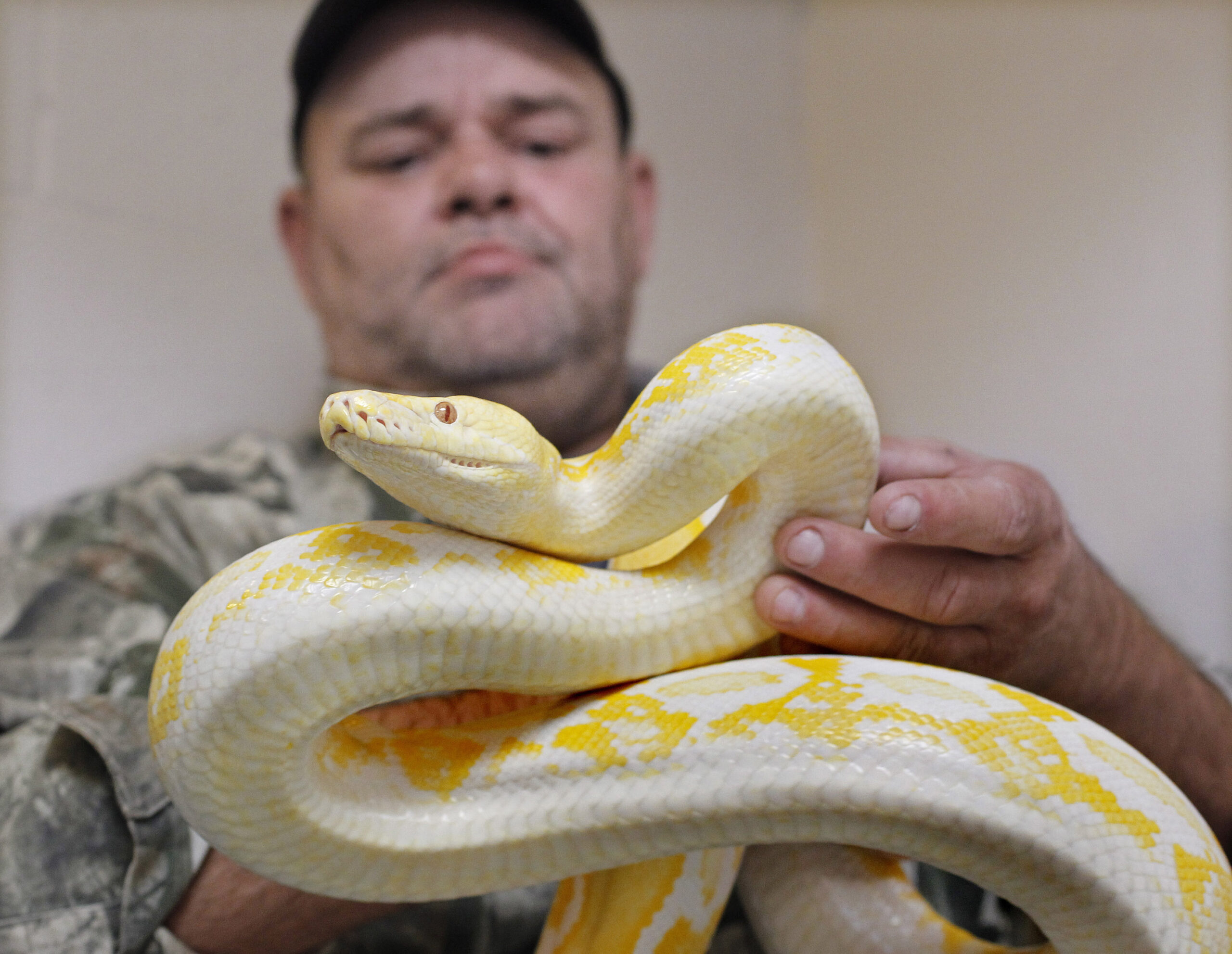 US wildlife officials propose limiting snake trade