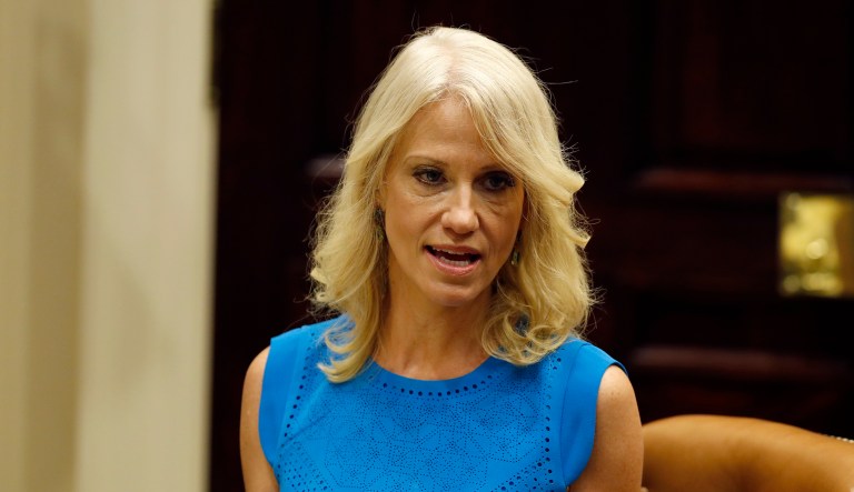 Kellyanne Conway, senior White House adviser, insisted Monday that the media is trying to make something out of nothing following reports of Donald Trump Jr.'s meeting with a Russian lawyer last summer. (AP Photo/Alex Brandon)