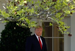 Trump will not release White House visitor logs