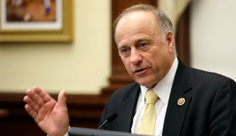Rep. Steve King of Iowa argued Wednesday that Congress should build President Trump's border wall by taking money from Planned Parenthood and federal food stamps. (AP Photo/Charlie Neibergall, File)