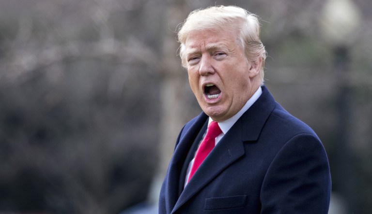 Psychiatrist Brandy Lee has told lawmakers that President Trump was 