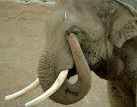 Gallup: Generic Republican Running Neck-and-Neck with Obama