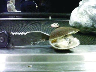 Fifteen cocaine-stuffed clams with a street value of $10k were found in a passenger?s luggage at Dulles airport. 