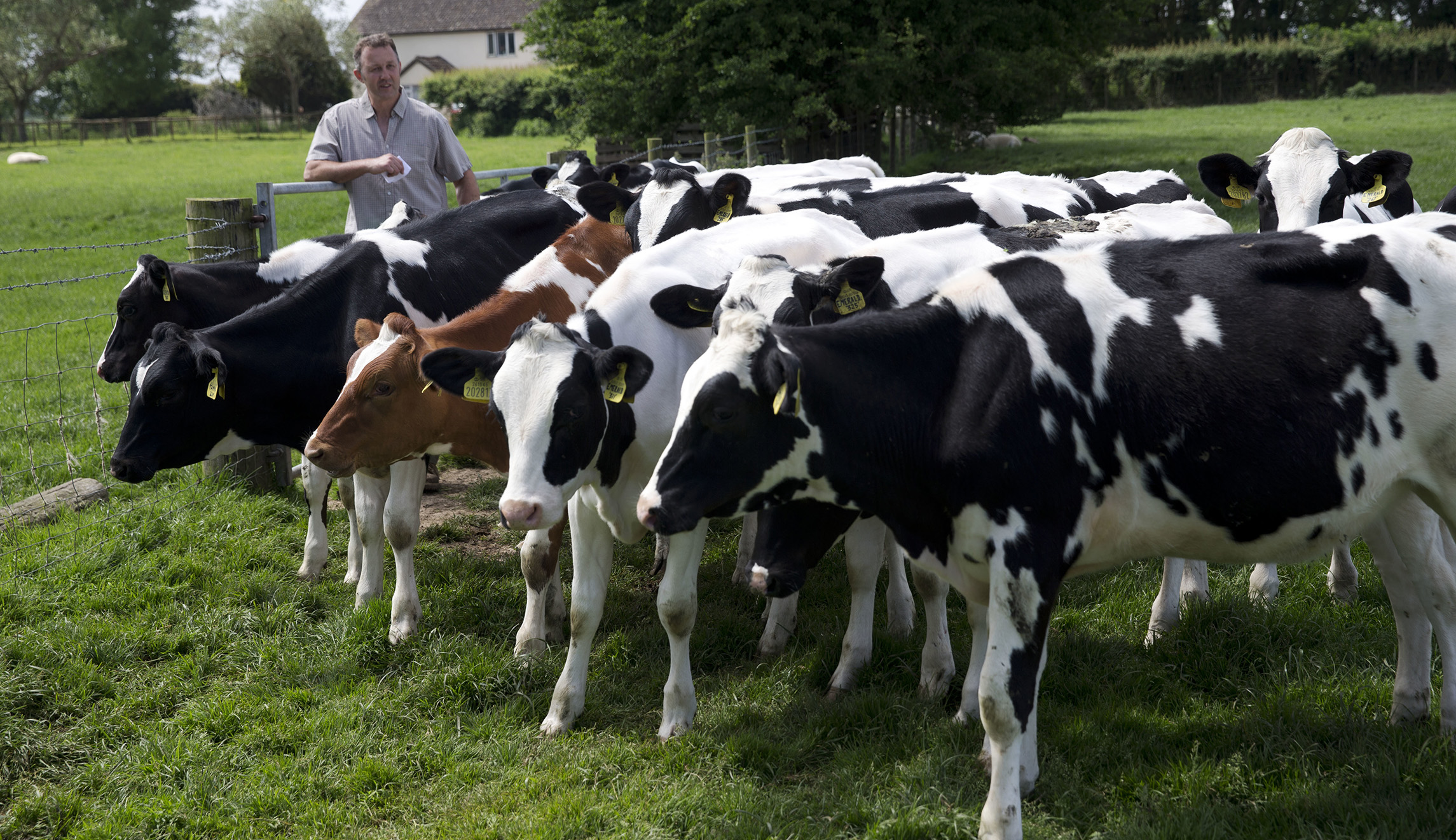 A US trade deal is not the answer for Britain’s food sector