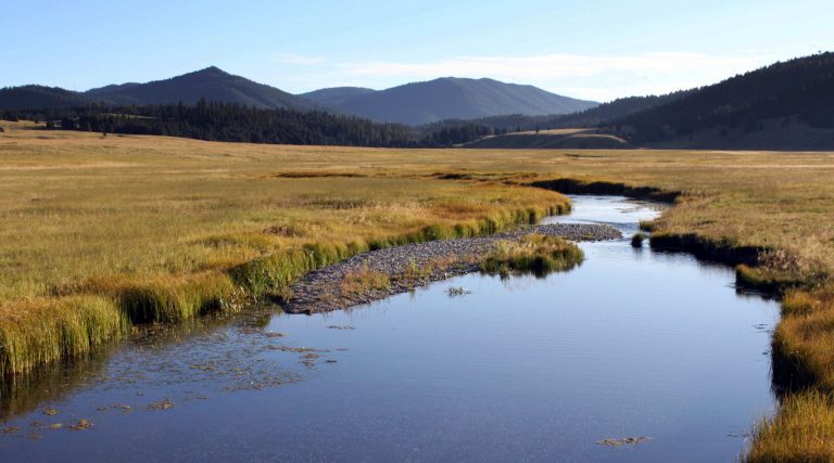 As the National Park Service celebrated its 100th year Anniversary last year in 2016, the agency is now at a crossroads. (AP Photo/Susan Montoya Bryan, File)