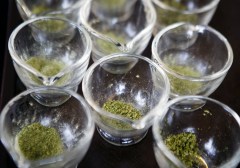 Nashville decriminalizes small amounts of marijuana