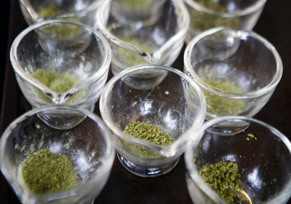 Nashville decriminalizes small amounts of marijuana