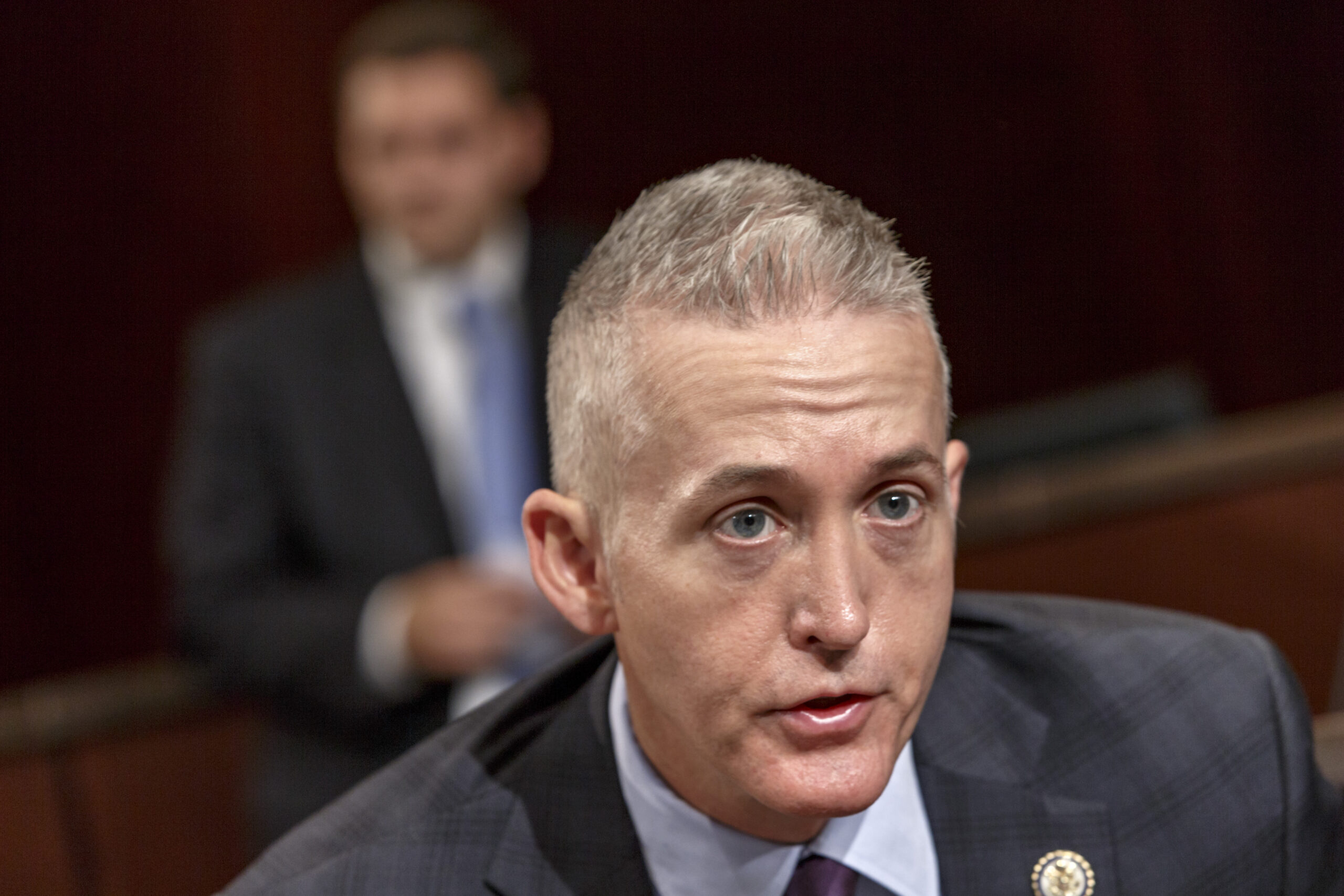 Tea Party group pushes Gowdy for speaker