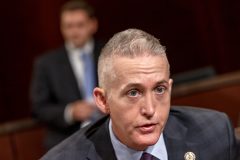 Tea Party group pushes Gowdy for speaker