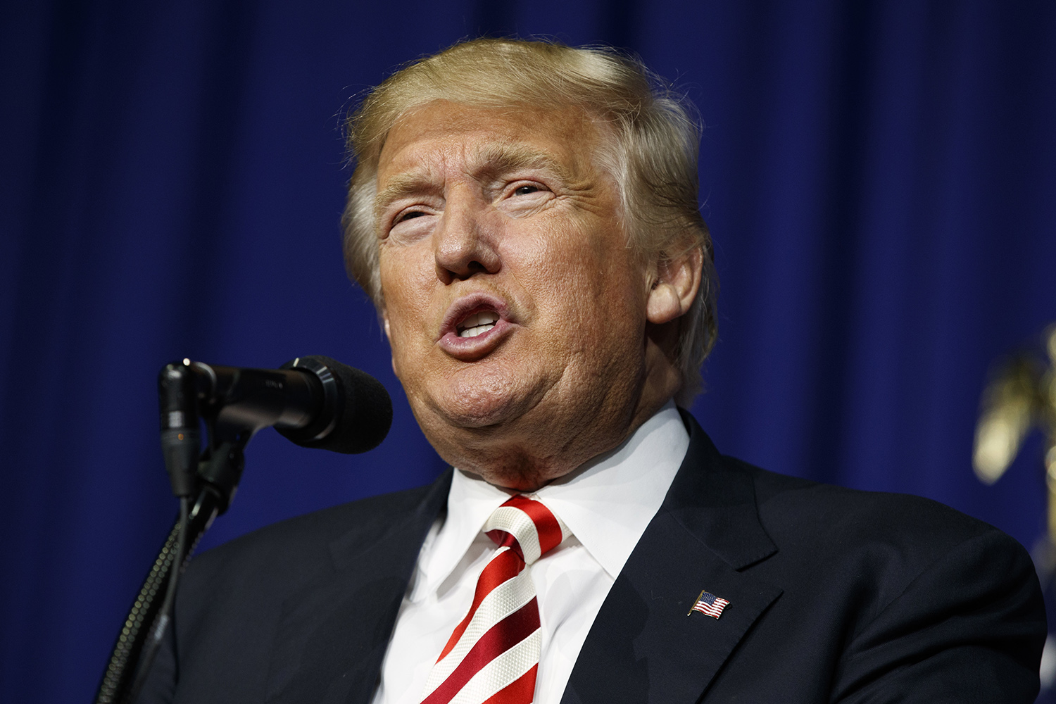 High horse with no name