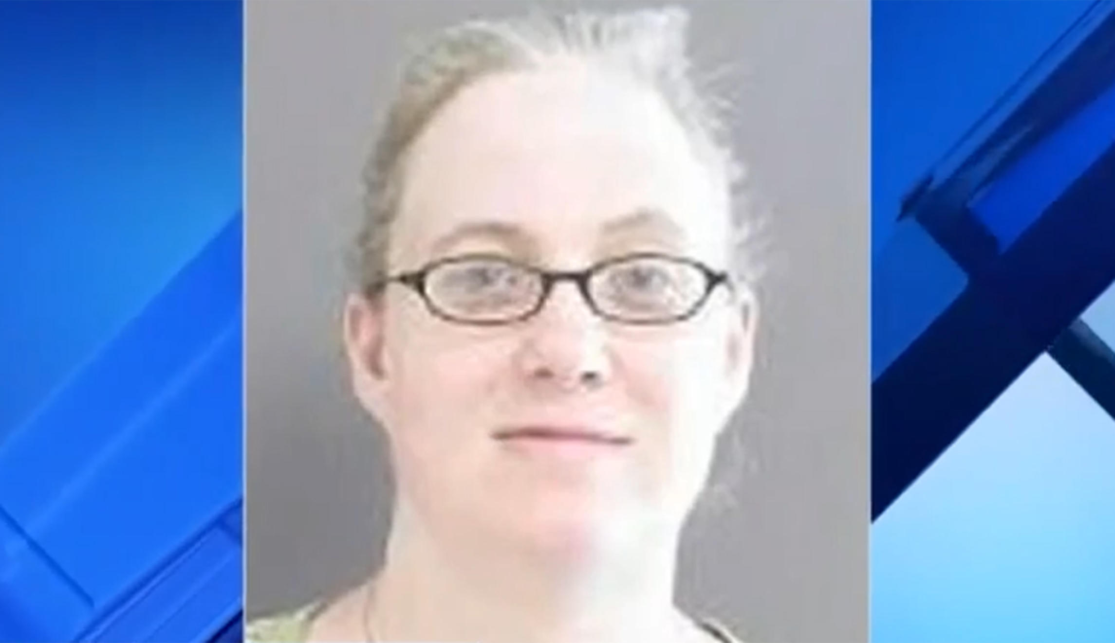 Cat hair helps catch would-be Obama bomber