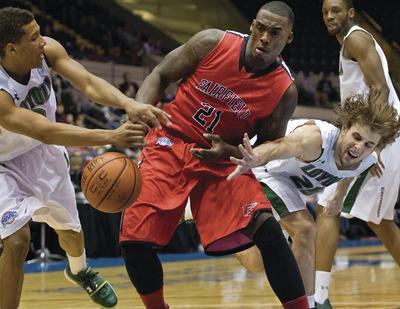 Greyhounds want to run